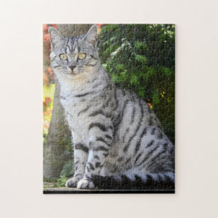 Cat Puzzle