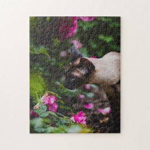 Cat Puzzles Cat Kitten Photographie Animal Pic Cat