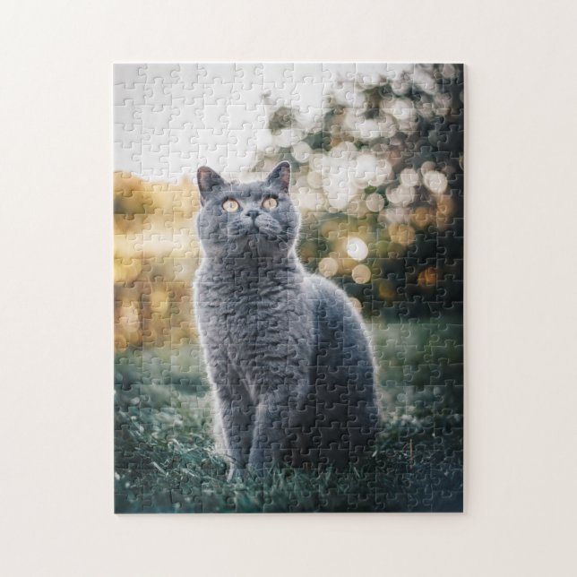 Cat Puzzles Cat Kitten Photographie Animal Pic Cat (Vertical)