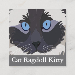 Cat Ragdoll Blue Eyes Kitty Square Business Card