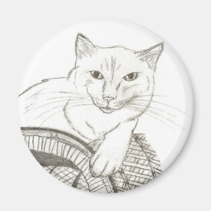Cat Ragdoll Portrait Magnet