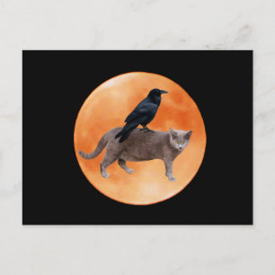 Cat Raven Moon Postcard