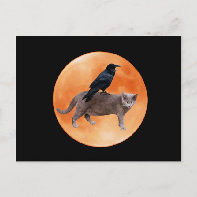 Cat Raven Moon Postcard (Front)