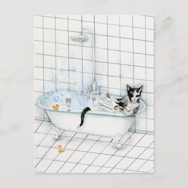 Cat reading newspaper in the bathtub postcard (Front)
