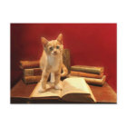 Cat Reading Staying on books Postcrossing