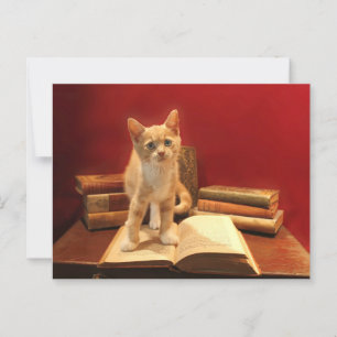 Cat Reading Staying on books Postcrossing Postcard