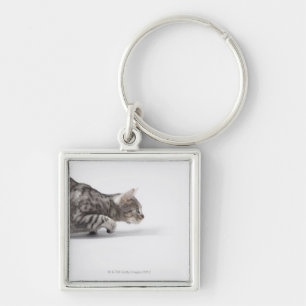 Cat ready to pounce keychain
