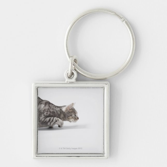 Cat ready to pounce keychain (Front)