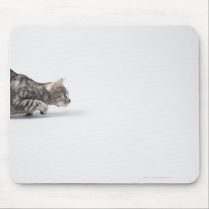 Cat ready to pounce mouse pad