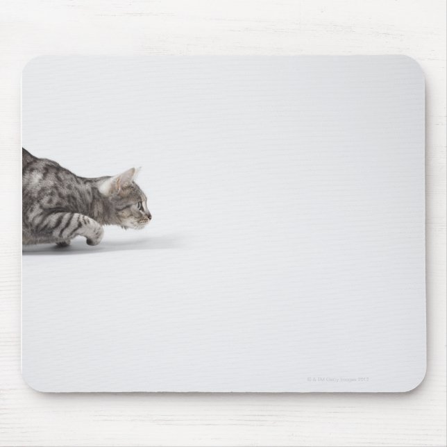 Cat ready to pounce mouse pad (Front)