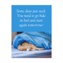 Cat red bed hidden Some days suck