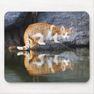 Cat Reflection in Pond Water Animal Photo, Mouse Pad