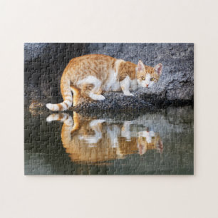 Cat Reflection in Pond Water, Game Jigsaw Puzzle