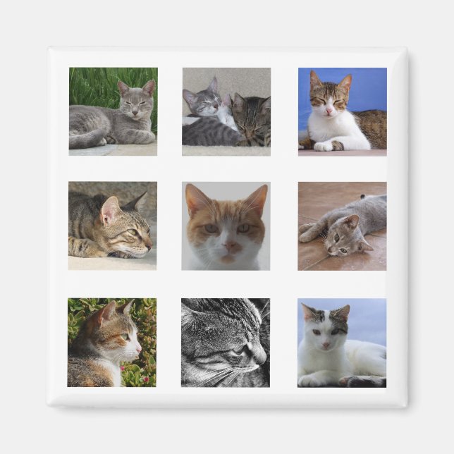 Cat Refrigerator Magnet (Front)