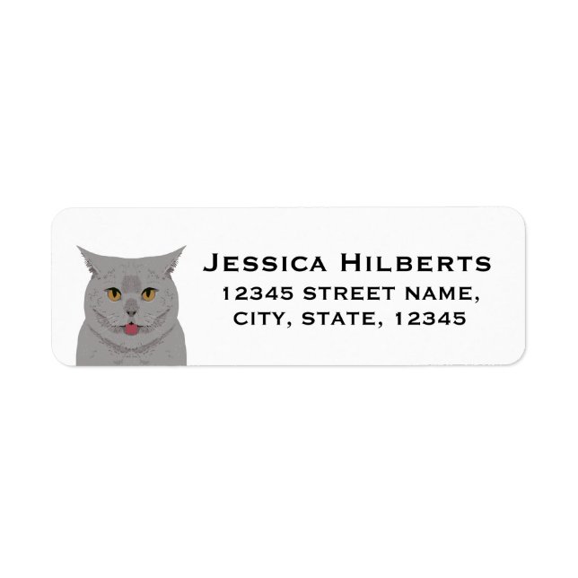 Cat return address labels - customizable (Front)
