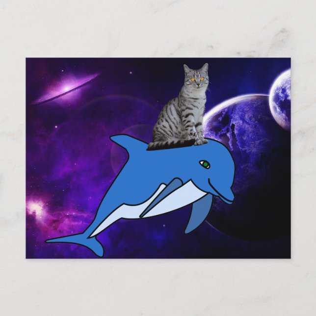 CAT RIDING A DOLPHIN IN SPACE POSTCARD (Front)