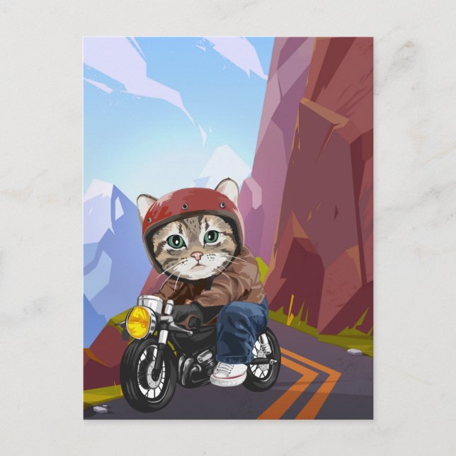 Cat Riding Motorcycle On Mountain Road  Postcard (Front)