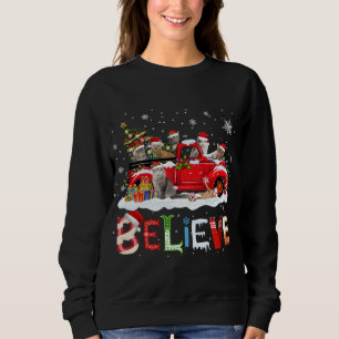 Cat Riding Red Truck Christmas Tree Believe Santa Sweatshirt