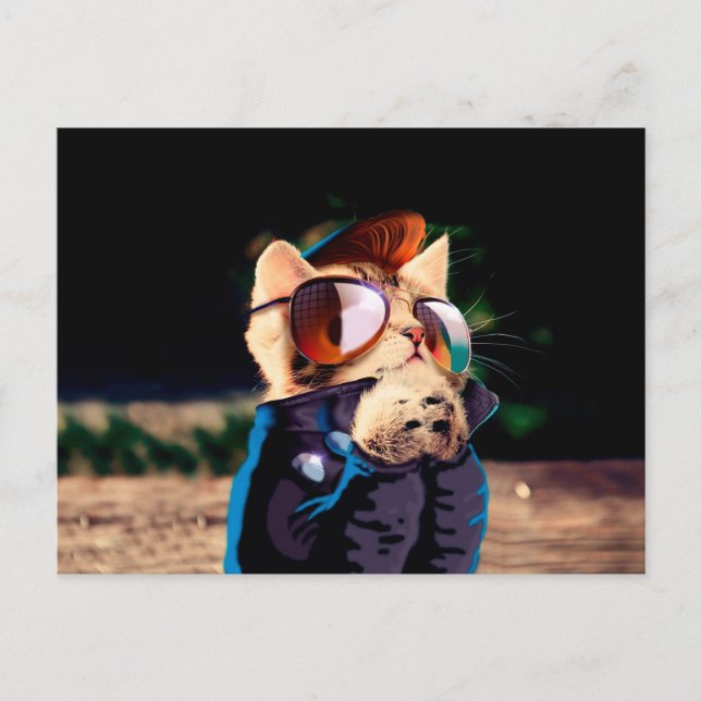 Cat rocker dressed up in leather jacket postcard (Front)