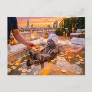 Cat Rooftop Pool Tuna Treats Postcard