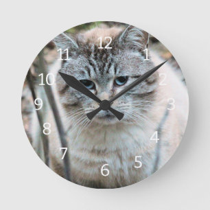 Cat Round Clock