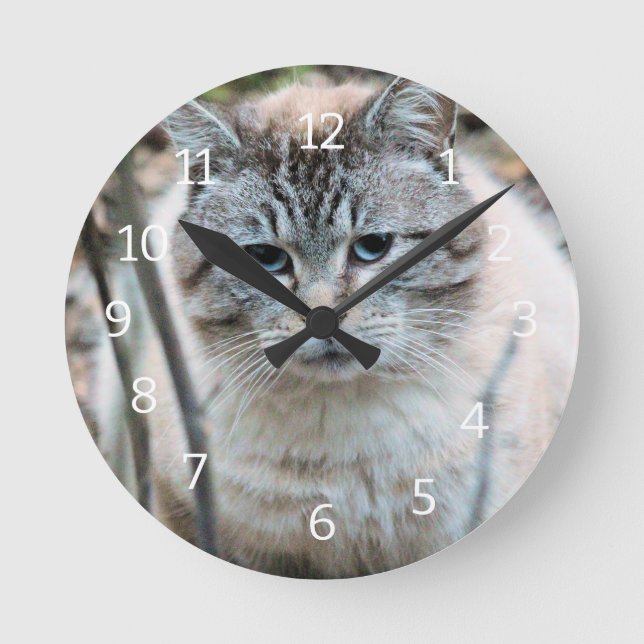 Cat Round Clock (Front)