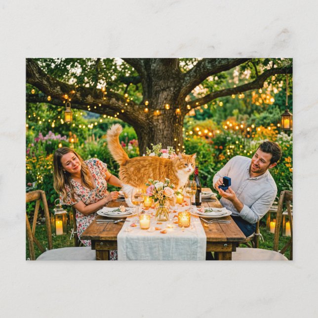 Cat Ruins Marriage Proposal Postcard (Front)