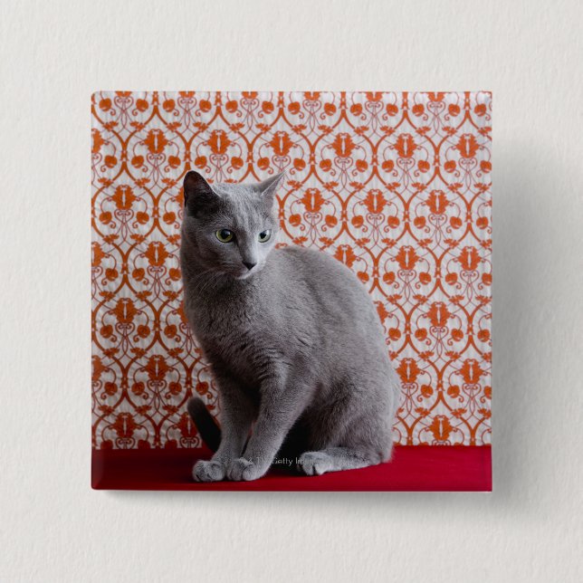 Cat (Russian blue) and wallpaper background 2 Inch Square Button (Front)