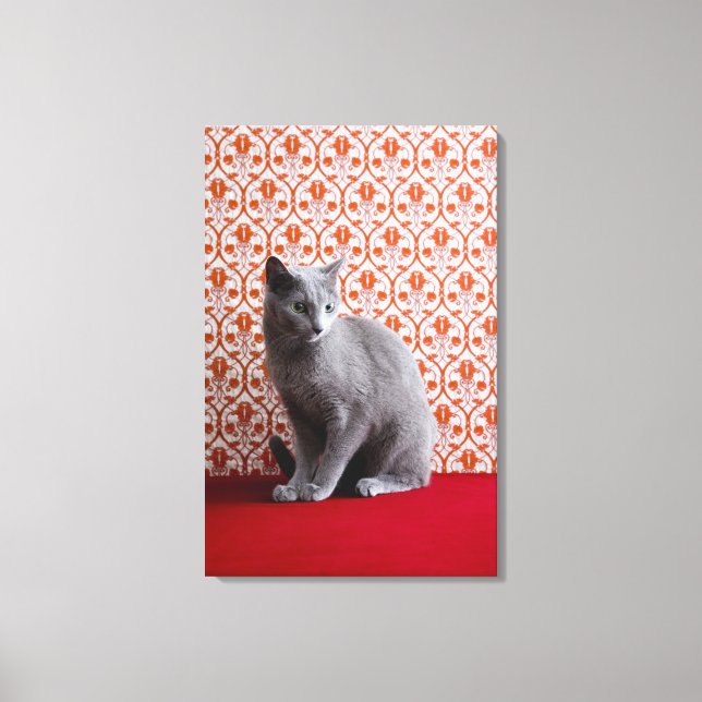 Cat (Russian blue) and wallpaper background Canvas Print (Front)