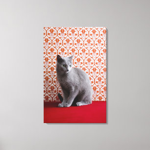 Cat (Russian blue) and wallpaper background Canvas Print