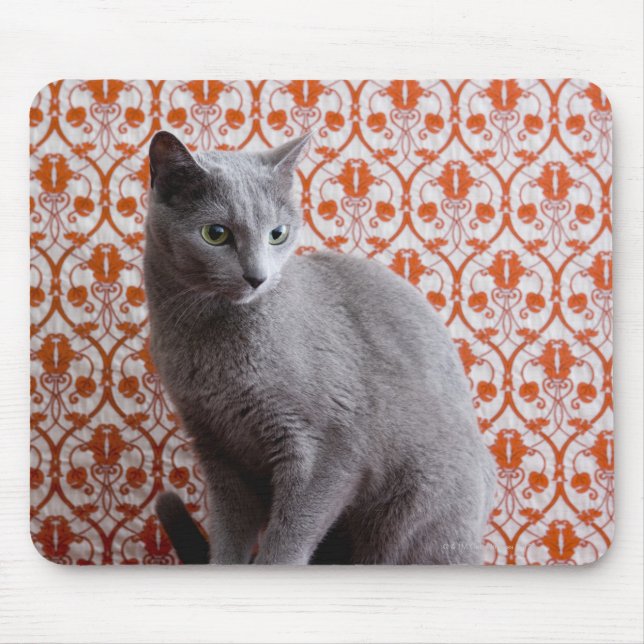 Cat (Russian blue) and wallpaper background Mouse Pad (Front)