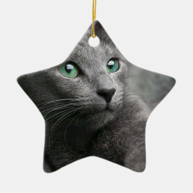 Cat Russian Blue Look Eyes Grey Pet Ceramic Ornament (Front)