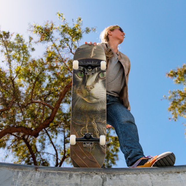 Cat Samurai.  Skateboard (Outdoor 1)