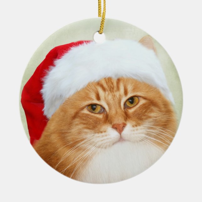 Cat Santa Claus Ceramic Ornament (Front)
