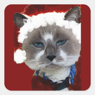 Cat Santa Claws Christmas Maureen Girard Blue Eye  Square Sticker