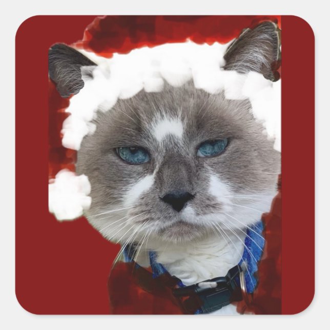 Cat Santa Claws Christmas Maureen Girard Blue Eye  Square Sticker (Front)