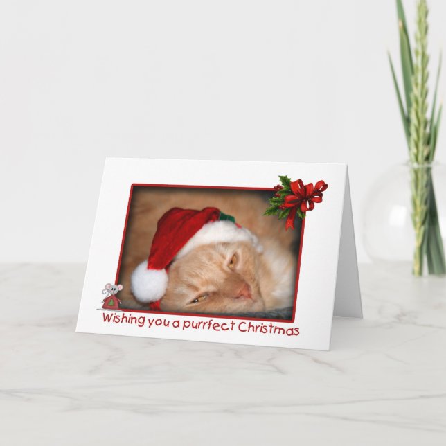 Cat Santa Hat Carte de voeux Noël (Devant)