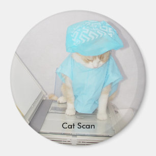 Cat Scan Magnet
