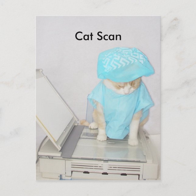 Cat Scan Postcard (Front)