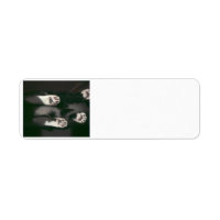 Cat Scan return address labels