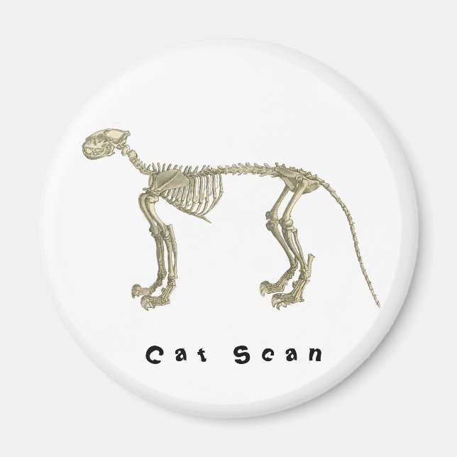 Cat Scan Skeleton Magnet (Front)