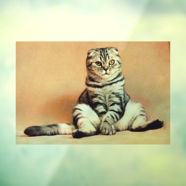 CAT SCOTTISH FOLD TABBY Window Cling (Sheet 3)