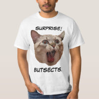 Cat Scream Butsects