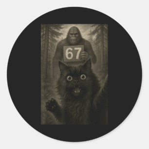 Cat Selfie 67 Meme Six Seven Funny Bigfoot  Classic Round Sticker