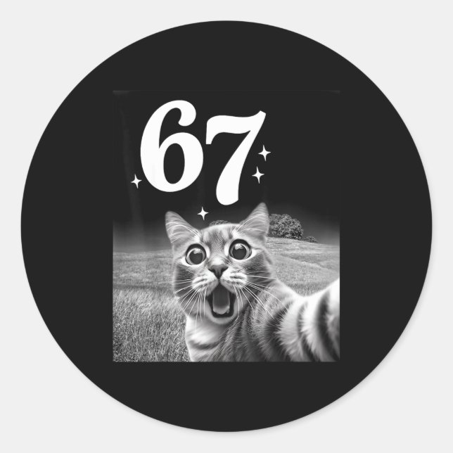 Cat Selfie With 67 Meme Funny Cats Graphic For Men Classic Round Sticker (Front)
