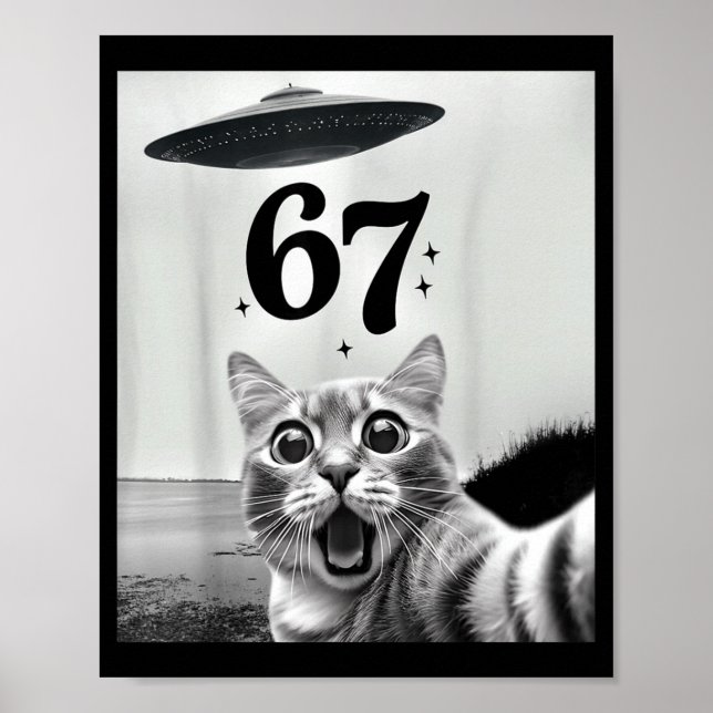 Cat Selfie With Alien Ufo And 67 Funny 6 7 For Men Poster (Front)