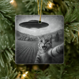 Cat Selfie With Alien UFO Funny Cat Gifts Ceramic Ornament