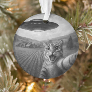 Cat Selfie With Alien UFO Funny Cat Gifts Ornament
