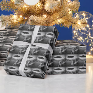 Cat Selfie With Alien UFO Funny Cat Gifts Wrapping Paper