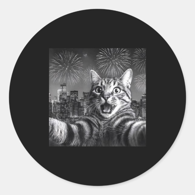 Cat Selfie With Firework In The City Funny Happy N Classic Round Sticker (Front)